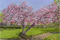 cherry-blossom35x45-5cm-1